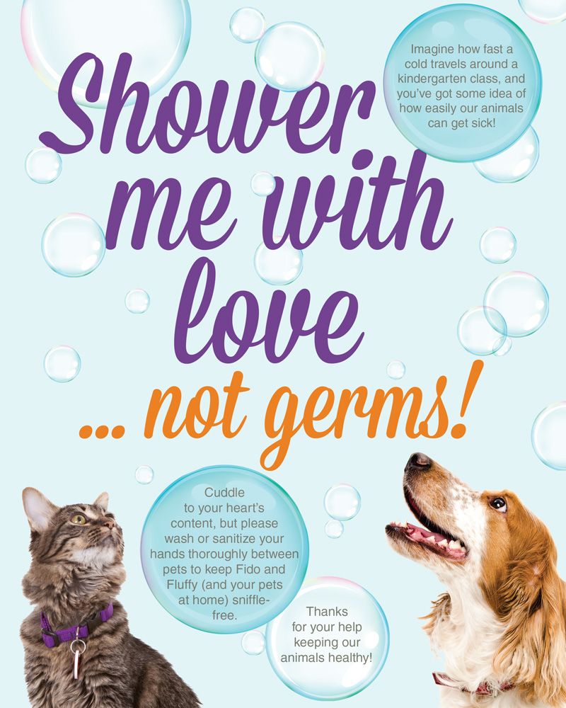 Shower me with love ... not germs!