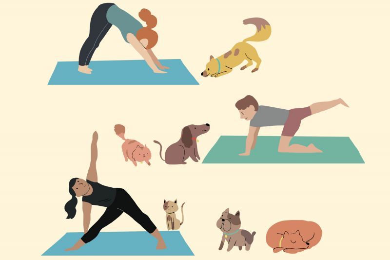 illustration of people doing yoga with pets