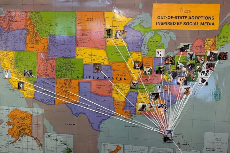 a US map labeled out of state adoptions with pins in various areas