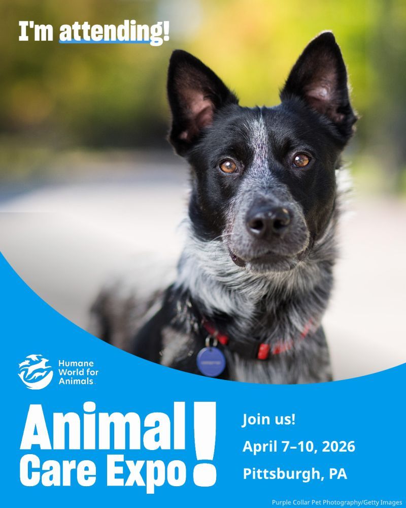 I'm attending Animal Care Expo 2026