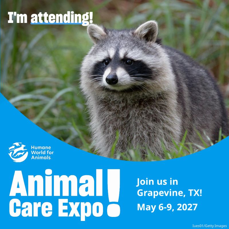I'm attending Animal Care Expo raccoon sharegraphic.