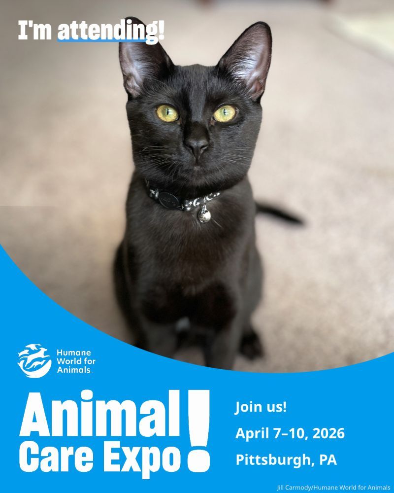 I'm attending Animal Care Expo 2026