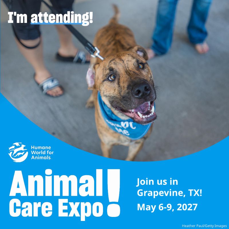 I'm attending Animal Care Expo raccoon sharegraphic.