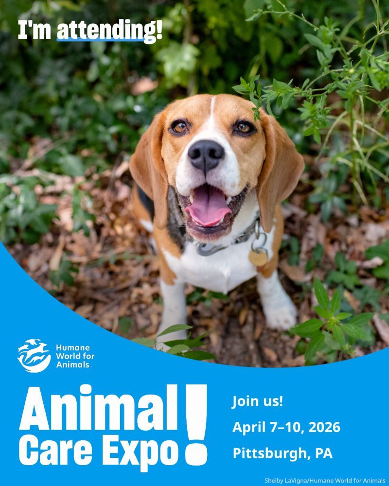 I'm attending Animal Care Expo 2026