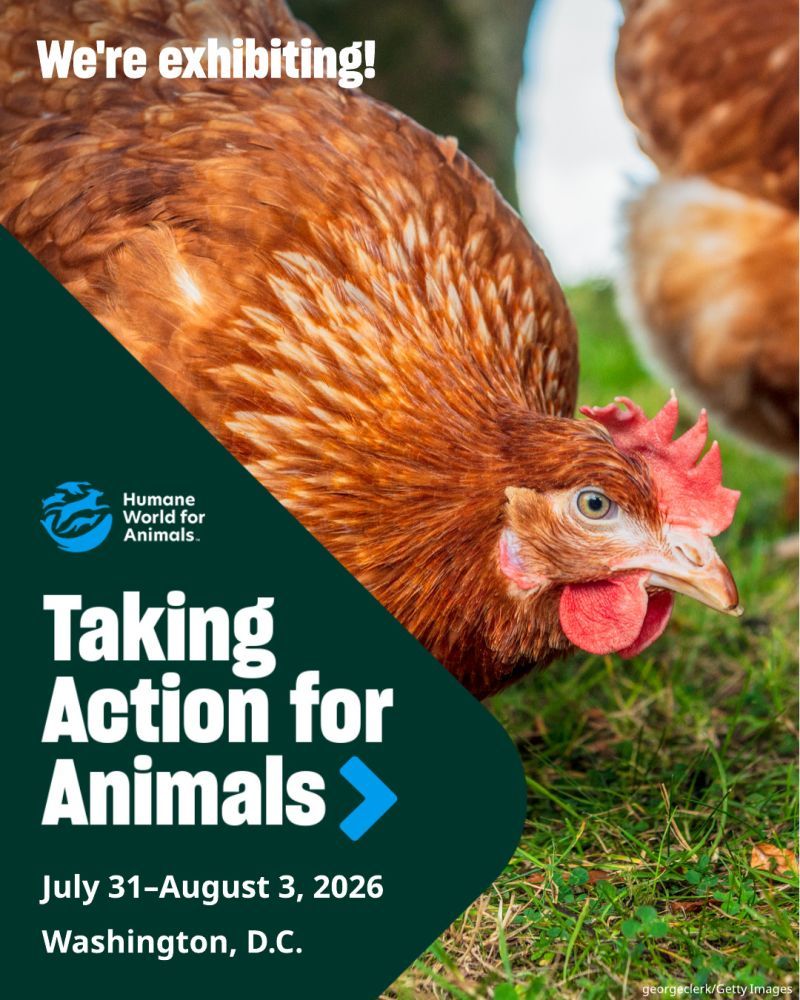 We're exhibiting at TAFA 2026