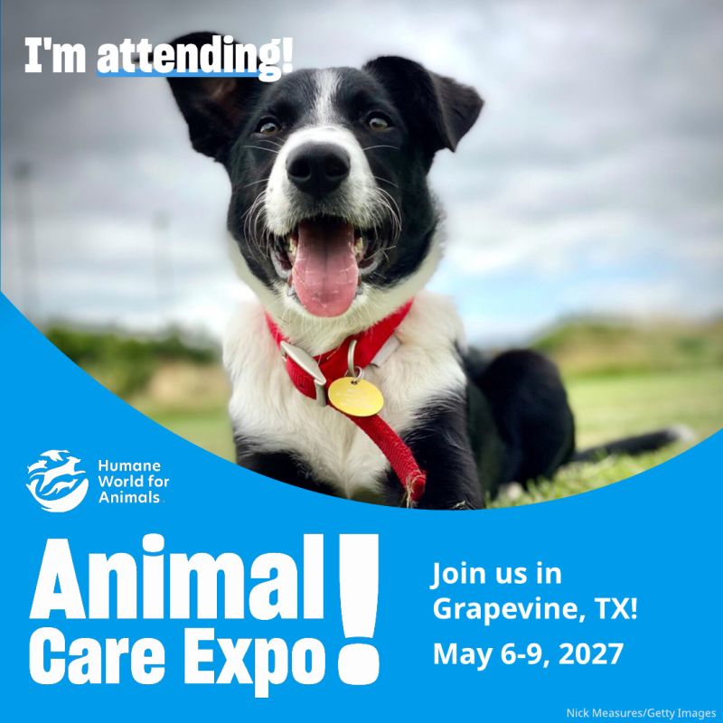I'm attending Animal Care Expo dog sharegraphic.