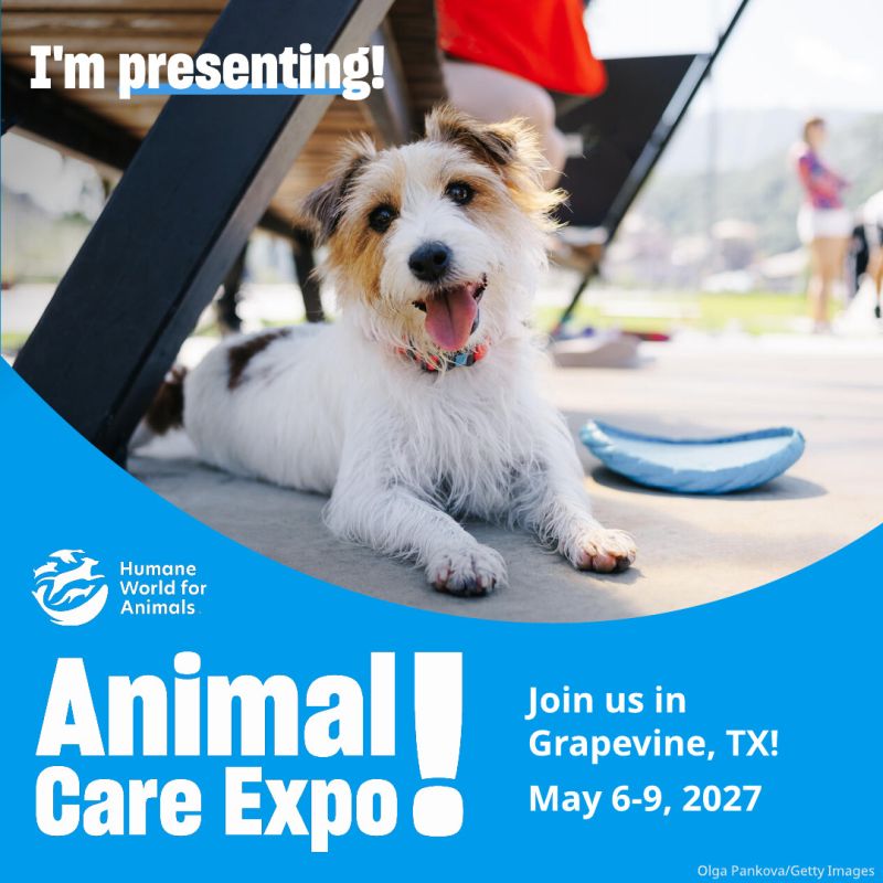 I'm presenting dog sharegraphic