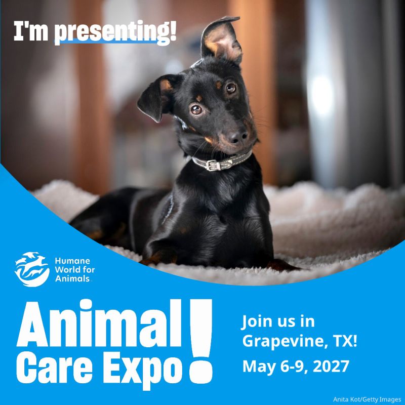 I'm presenting dog sharegraphic