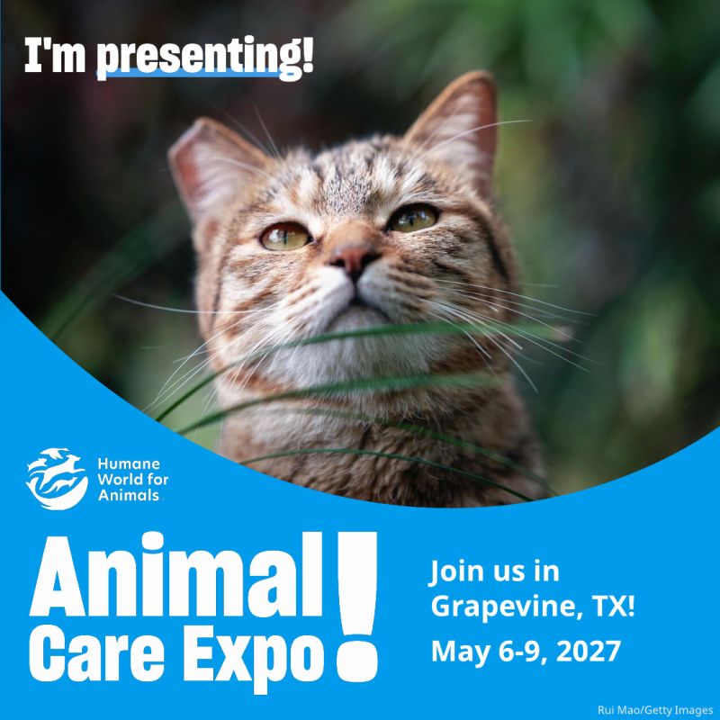 I'm presenting cat sharegraphic