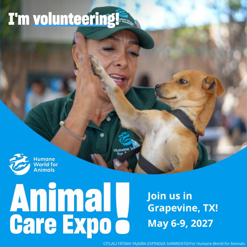 I'm volunteering at Animal Care Expo dog high five sharegraphic.