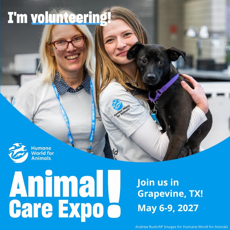I'm volunteering at Animal Care Expo volunteers and dog sharegraphic.