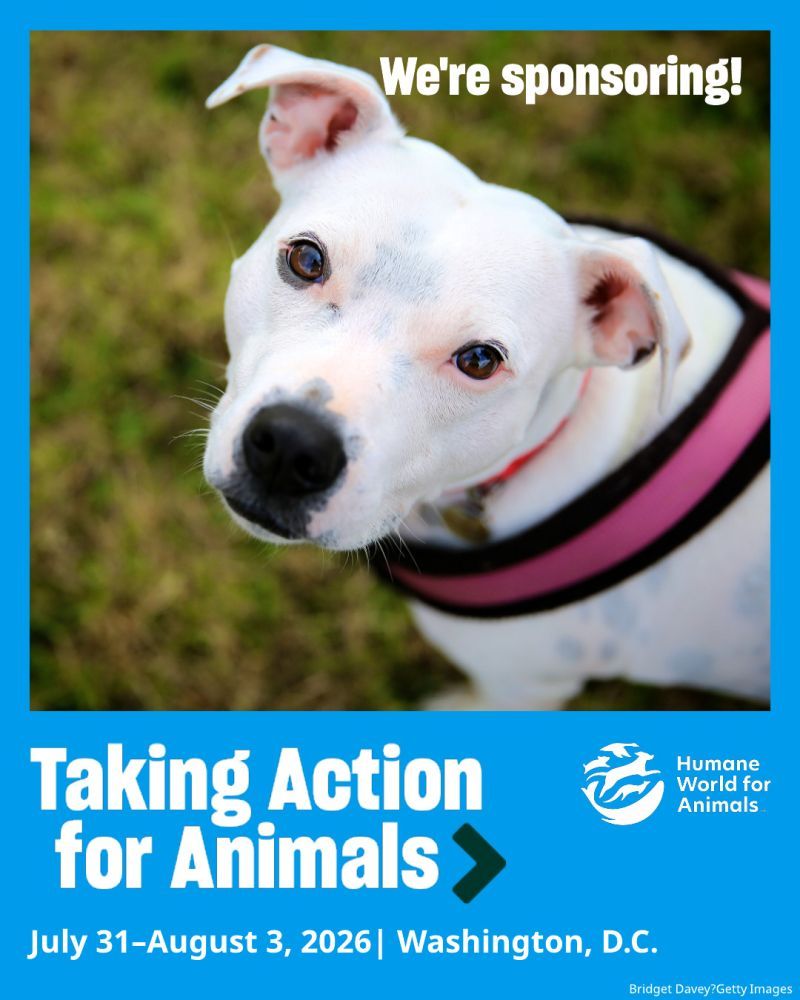 We're sponsoring TAFA 2026