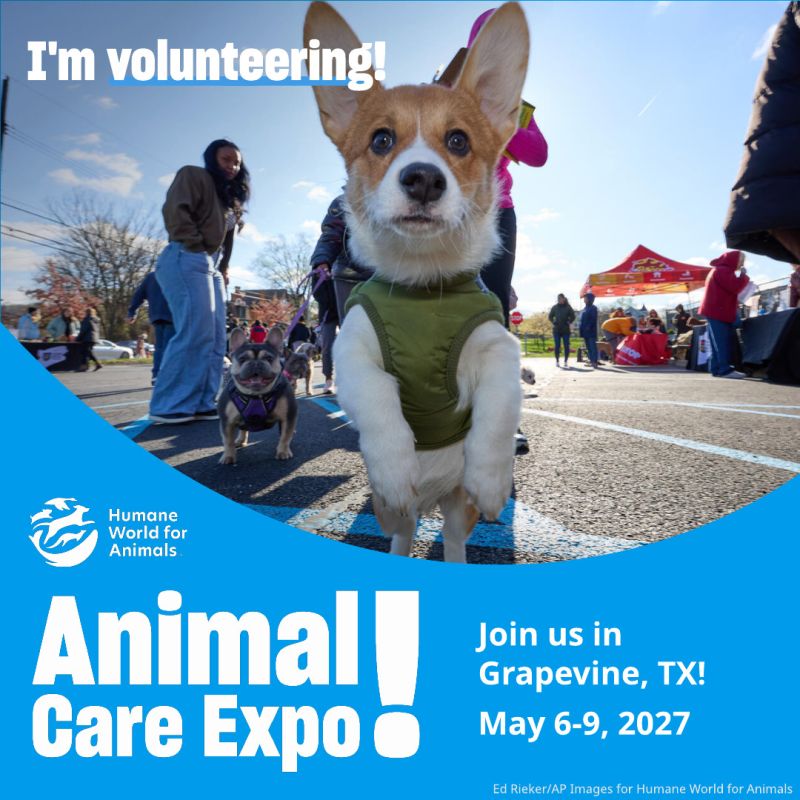 I'm volunteering at Animal Care Expo dog sharegraphic.
