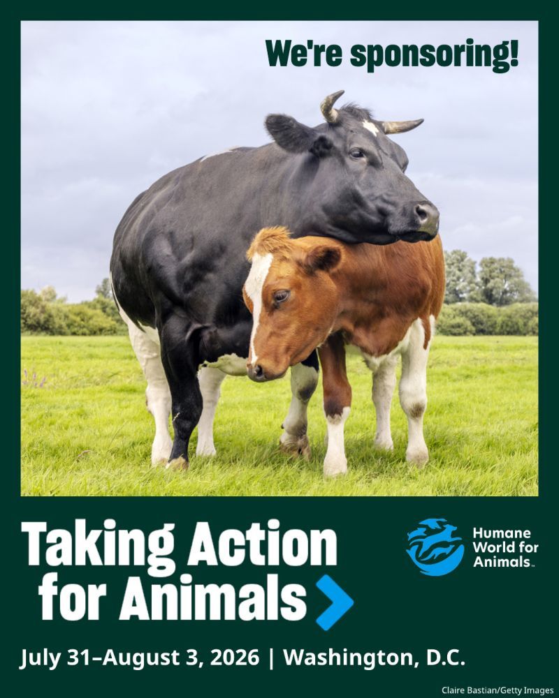 We're sponsoring TAFA 2026