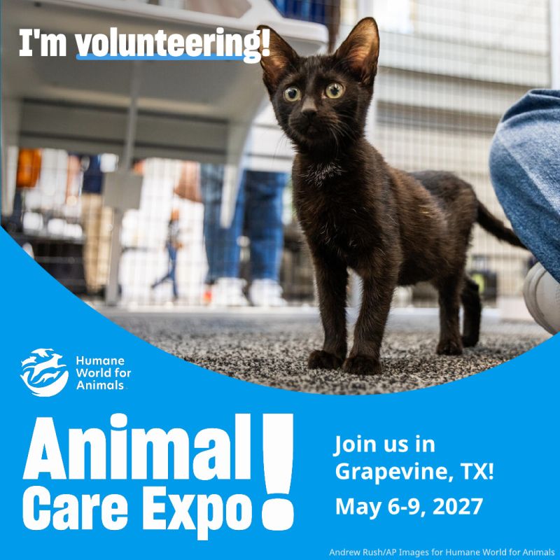 I'm volunteering at Animal Care Expo cat sharegraphic.