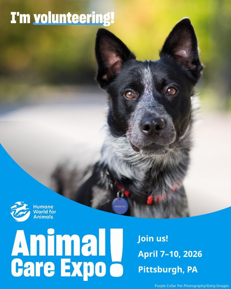 I'm volunteering at Animal Care Expo 2026