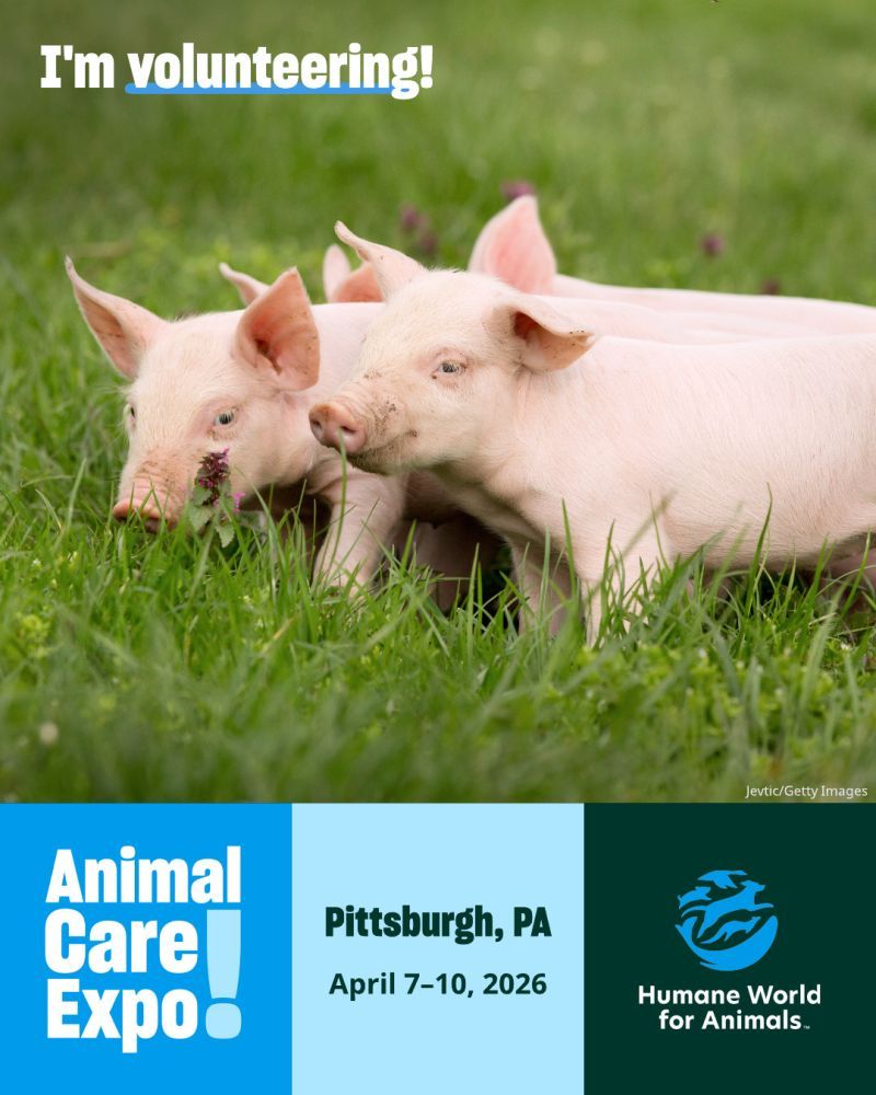 I'm volunteering at Animal Care Expo 2026