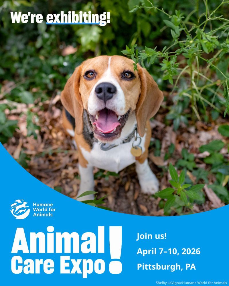 We're exhibiting at Animal Care Expo 2026
