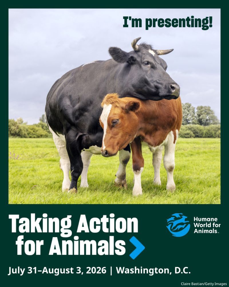 I'm presenting at TAFA 2026