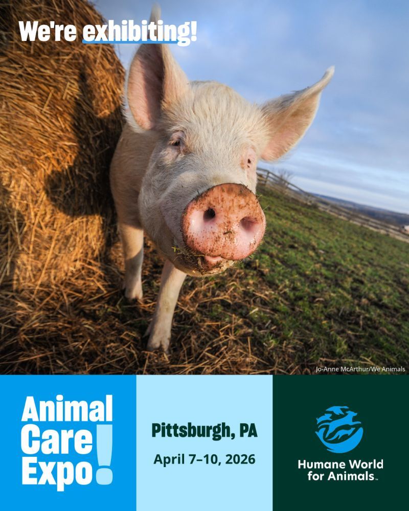 We're exhibiting at Animal Care Expo 2026