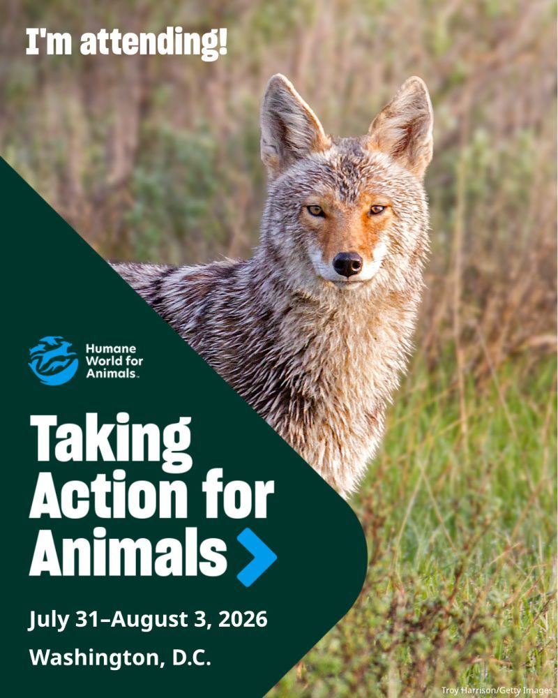 I'm attending TAFA 2026