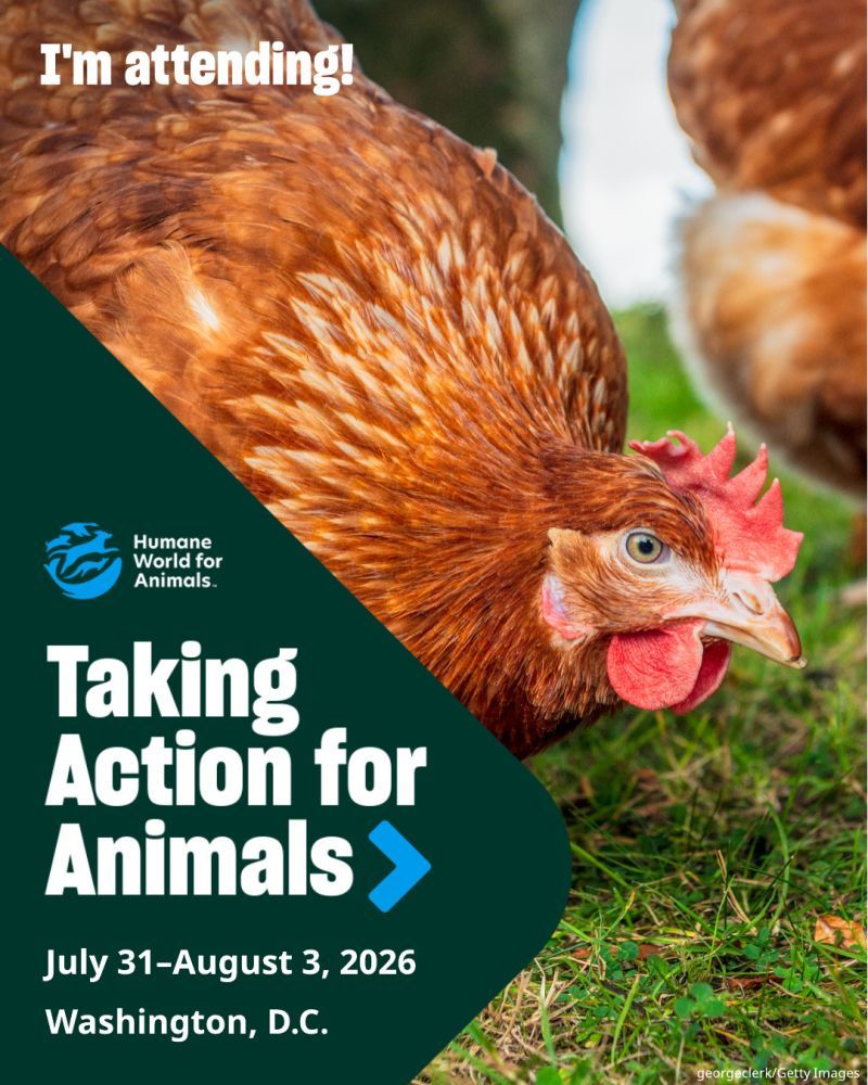 I'm attending TAFA 2026