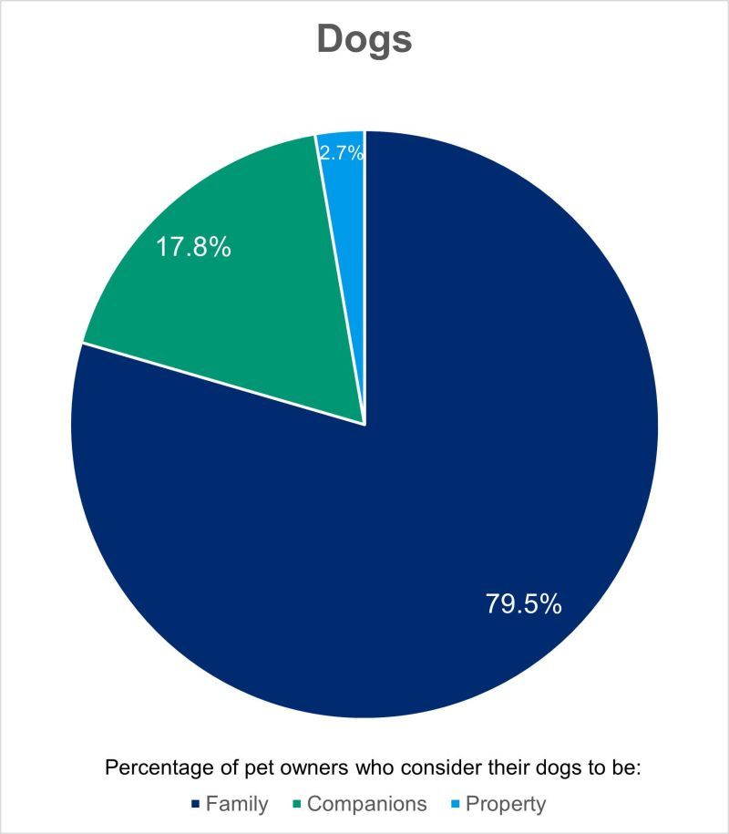 Percent of pet owners who consider dogs to be family, companions and property