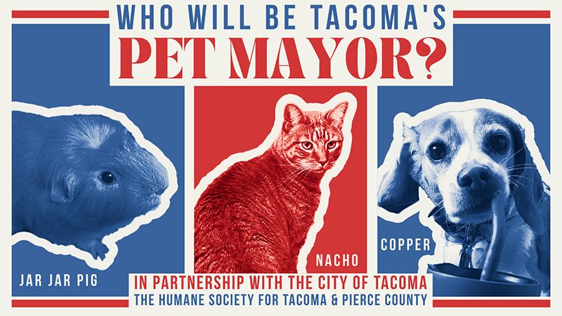 a red white and blue poster that says who will be tacoma's pet mayor