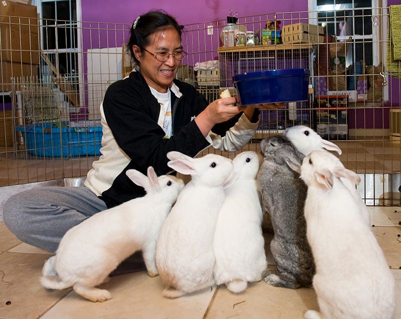 a woman presents a bowl of food to a group of excited rabbits