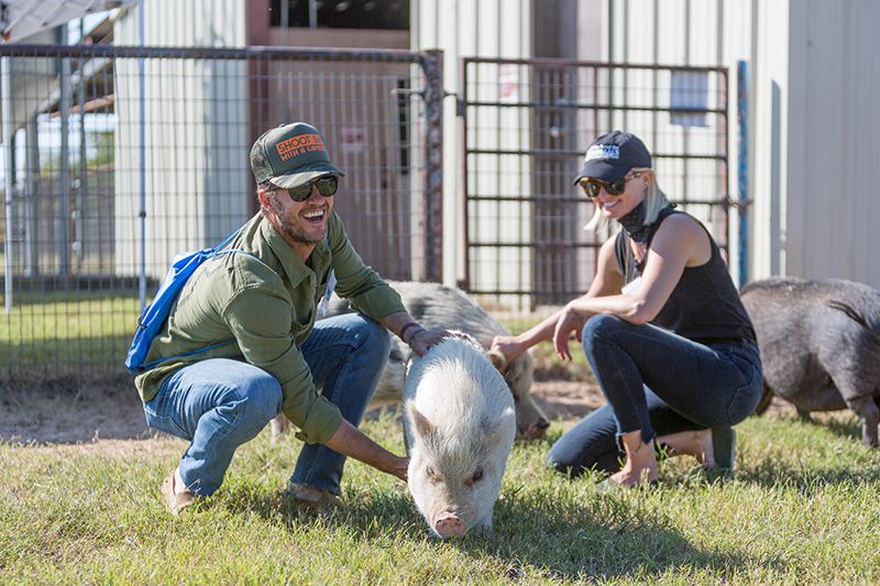 two people kneeling to pet a pig