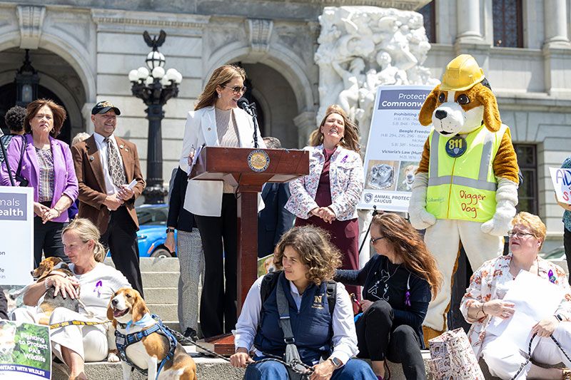 a group of people and animals gathered around a podium