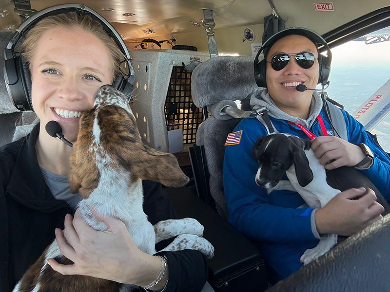 two people in an airplane holding dogs
