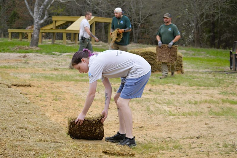people placing hay in a field