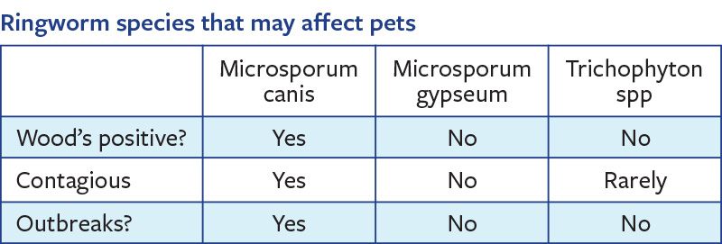 Ringworm species that may affect pets