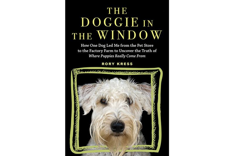 The Doggie in the Window book cover
