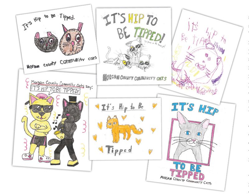 An assortment of children's drawings promoting ear-tipping