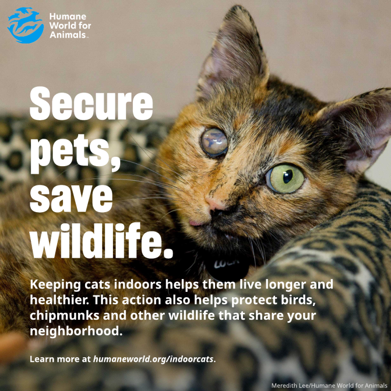 secure pets save wildlife