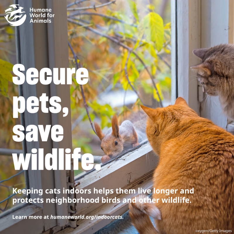 secure pets save wildlife