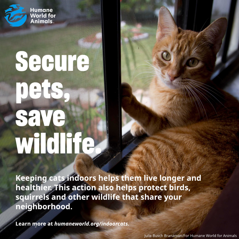secure pets save wildlife