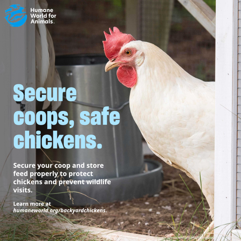secure pets save wildlife