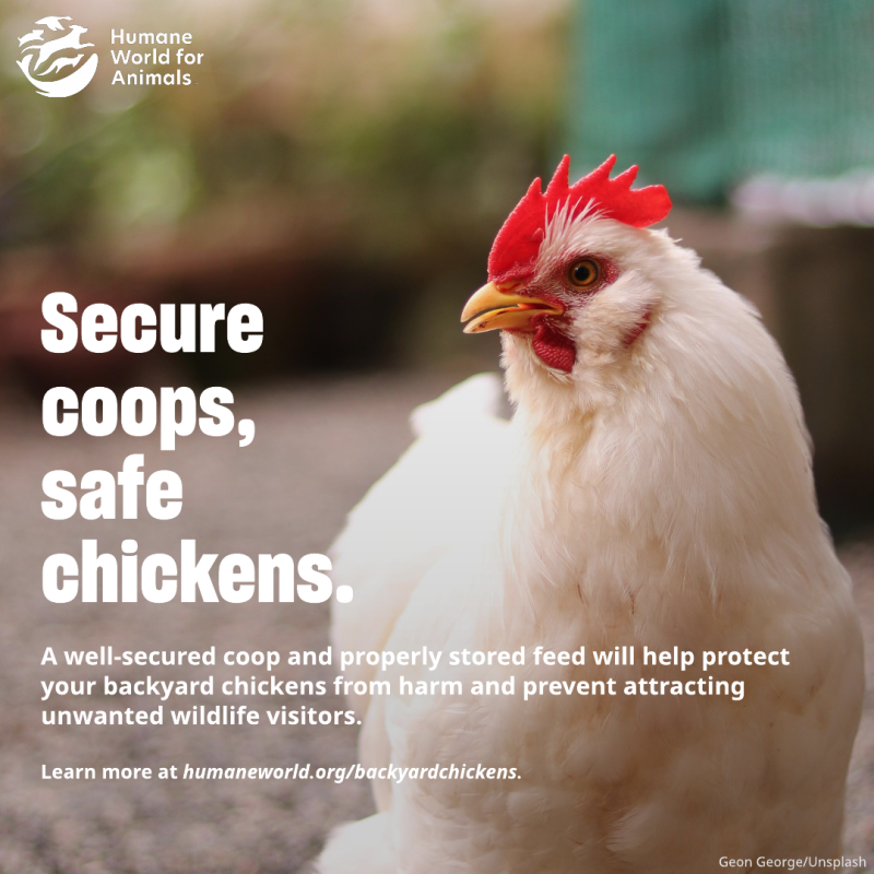 secure pets save wildlife