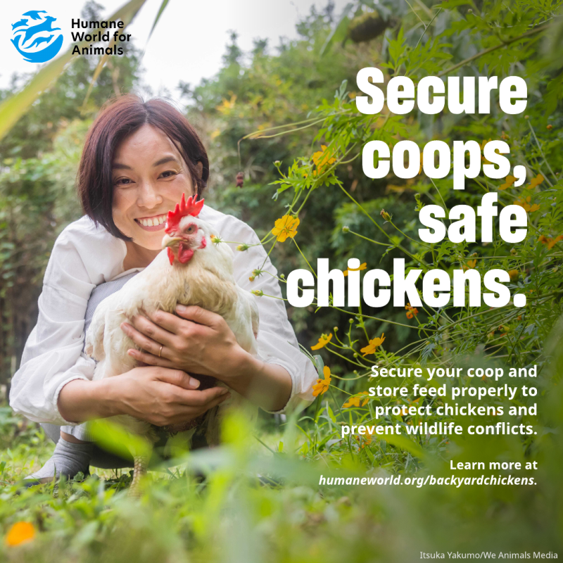 secure pets save wildlife