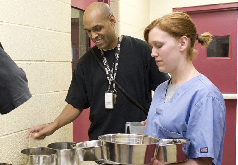 Staff feed animals