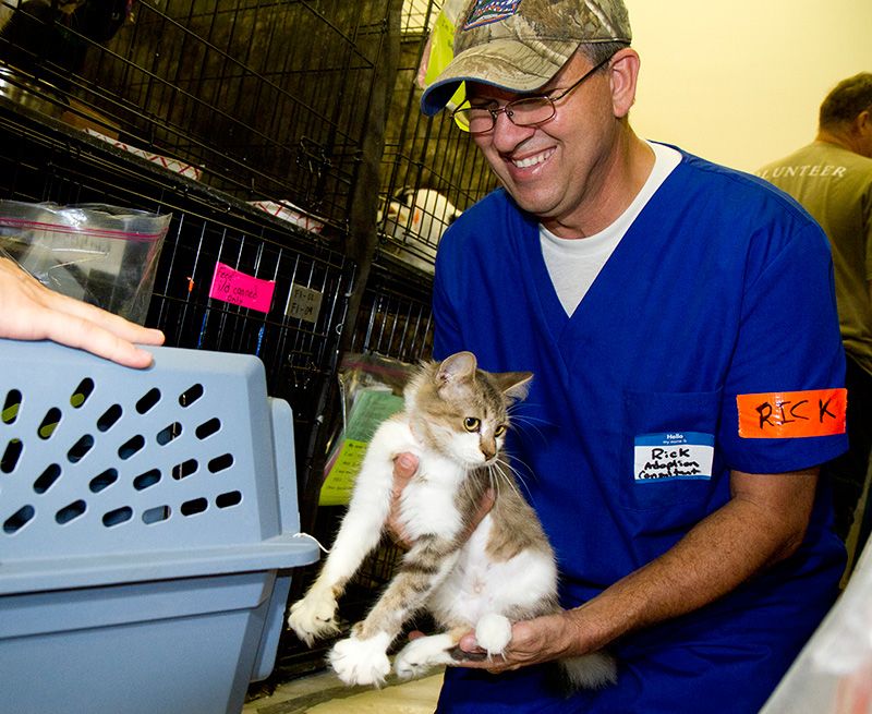 A man smiles as he transfers a small cat into a carrier