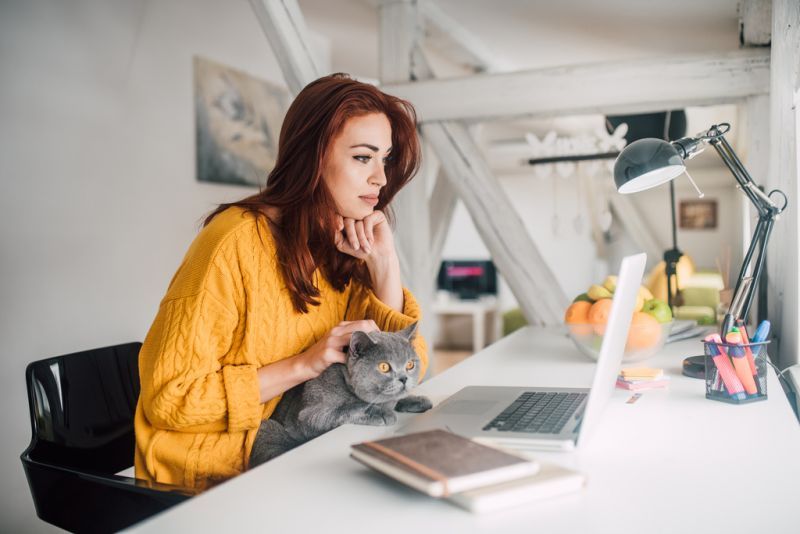 a woman looking at her laptop screen, cat on her lap