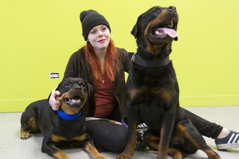 a woman sits with two rotweiler type dogs