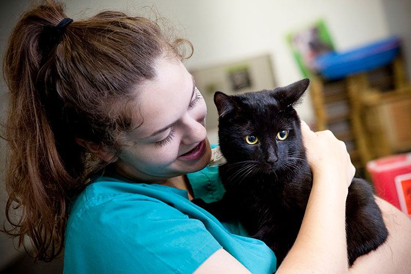 Woman holding a black cat