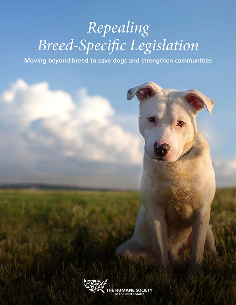 Repealing breed-specific legislation manual
