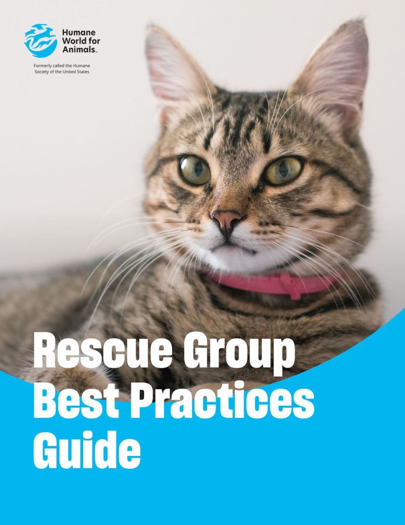 Rescue Group Best Practices Guide