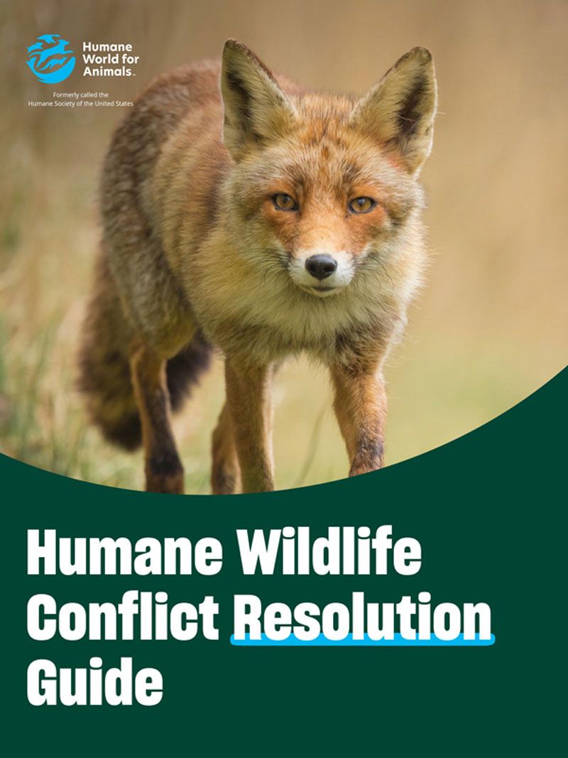 Humane Wildlife Conflict Resolution Guide